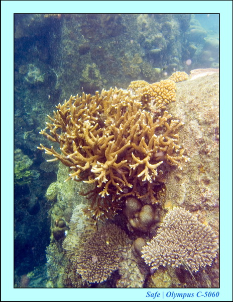 2008 - 07 - Perhentian - 024